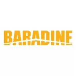 Логотип бренда Baradine