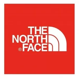 Логотип бренда The North Face