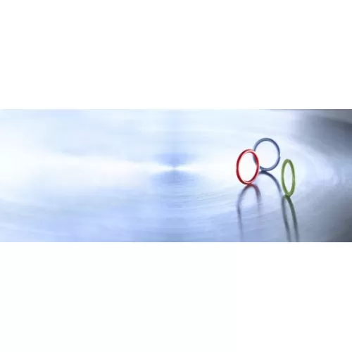 Кольцо уплотнительное O-Ring ASSRTMNT