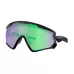 Очки Oakley WIND JACKET 2,0 (цвет matte black/prizm road jade)