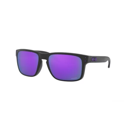 Очки Holbrook Oakley