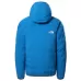 Пуховик L3 5050 DOWN HOODIE The North Face