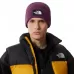 Шапка LOGO BOX CUF The North Face