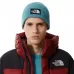 Шапка LOGO BOX CUF The North Face