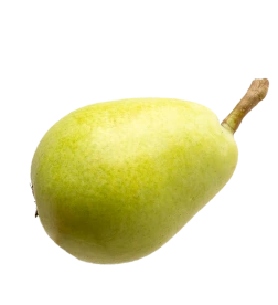 pear-image