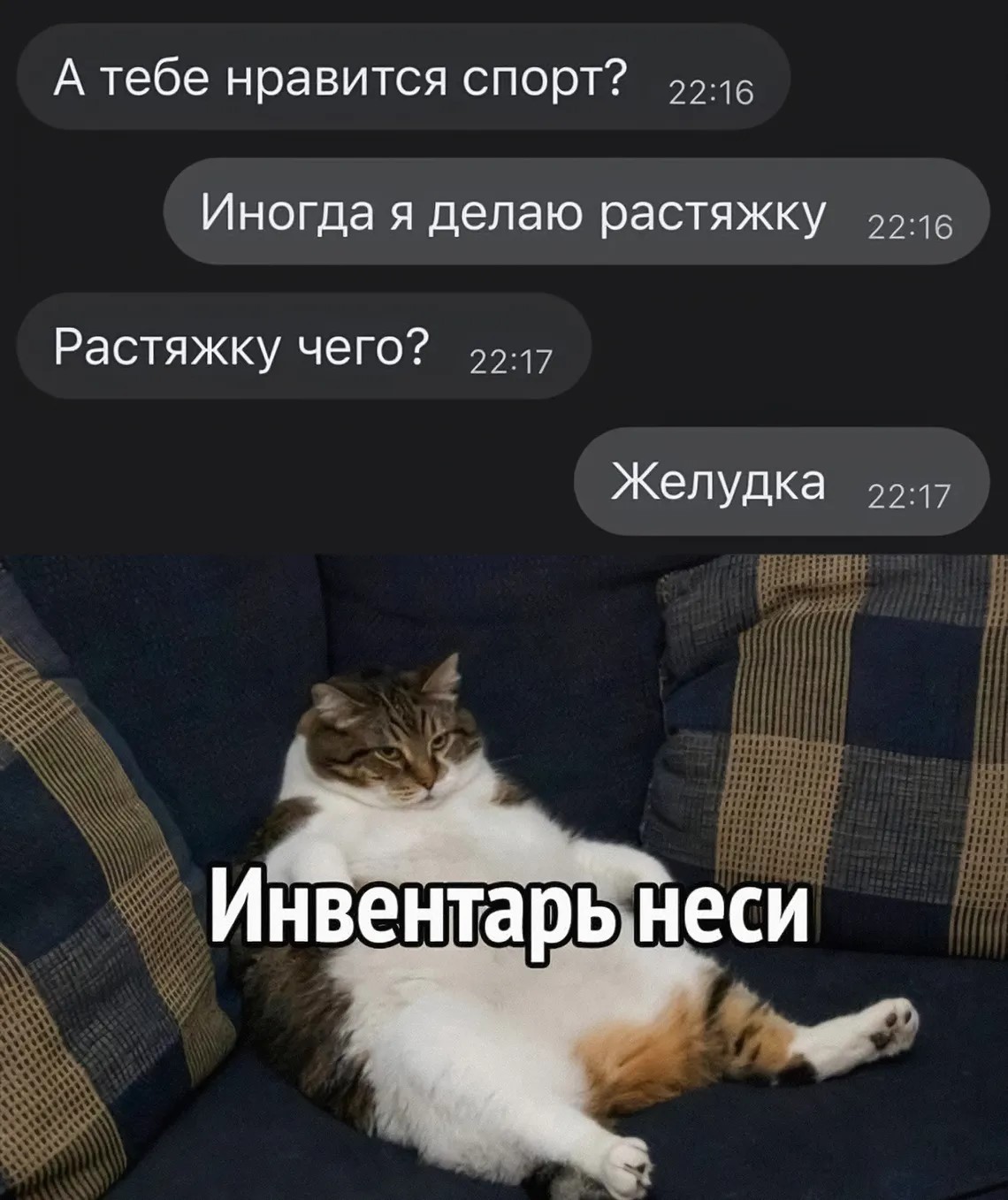 Мем с котом про растяжку желудка Мем с котом про растяжку желудка