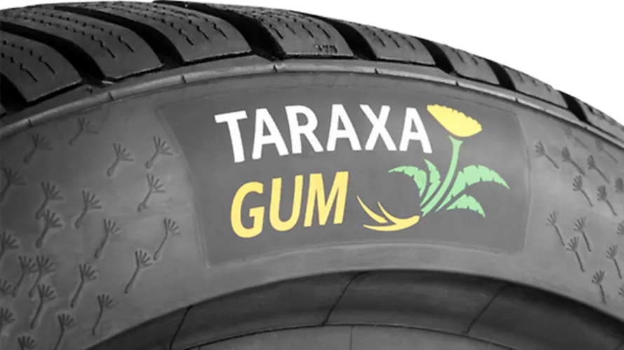 Эмблема научно-исследовательской и экспериментальной лаборатории «Taraxagum Lab Anklam» на покрышке Continental.