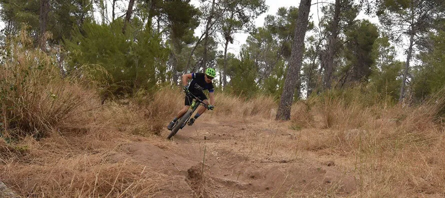Велосипедист спускается на большой скорости по лесной тропинке.