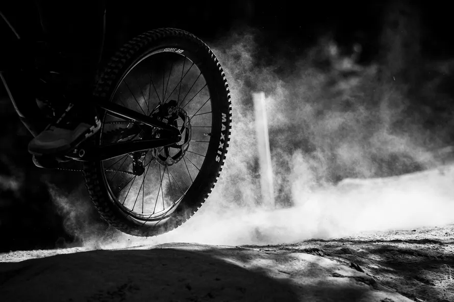 Колесо с покрышкой компании MAXXIS