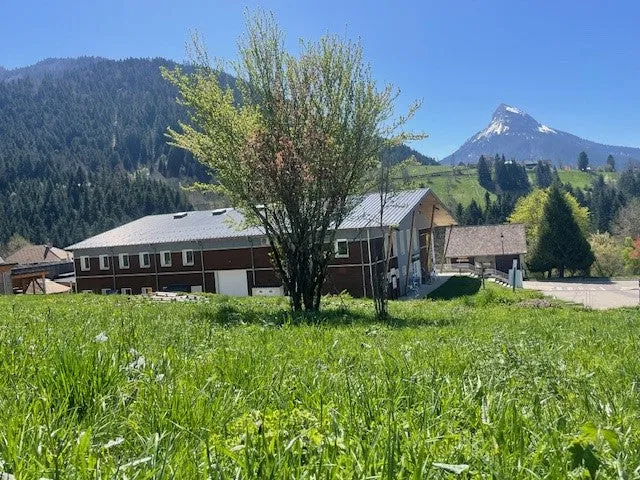 компания RAIDLIGHT