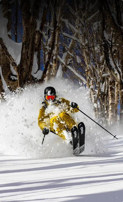 Фрирайдер спускается с заснеженной горы на горных лыжах бренда HEAD и с креплениями производства компании TYROLI.